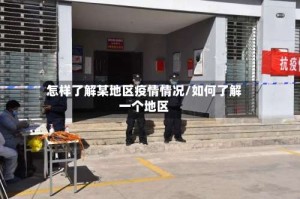 怎样了解某地区疫情情况/如何了解一个地区