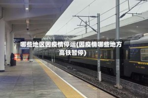 哪些地区因疫情停运(因疫情哪些地方高铁暂停)