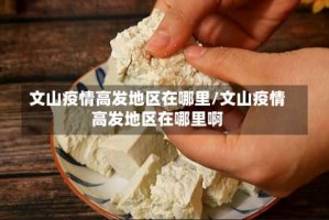 文山疫情高发地区在哪里/文山疫情高发地区在哪里啊