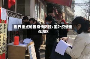 世界重点地区疫情防控/国外疫情重点地区