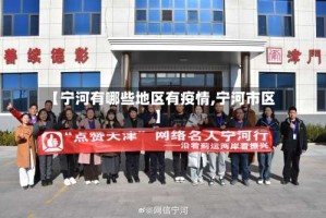 【宁河有哪些地区有疫情,宁河市区】