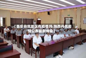 【西安丹凤地区有疫情吗,陕西丹凤疫情公布最新传染】