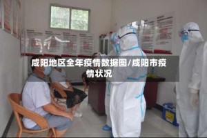 咸阳地区全年疫情数据图/咸阳市疫情状况