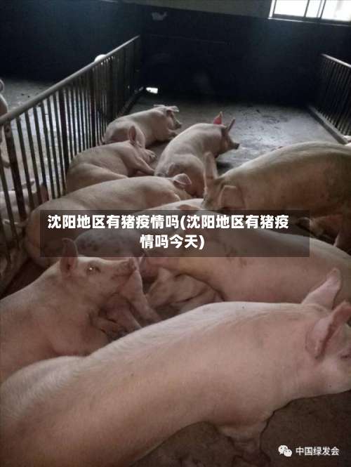 沈阳地区有猪疫情吗(沈阳地区有猪疫情吗今天)-第1张图片