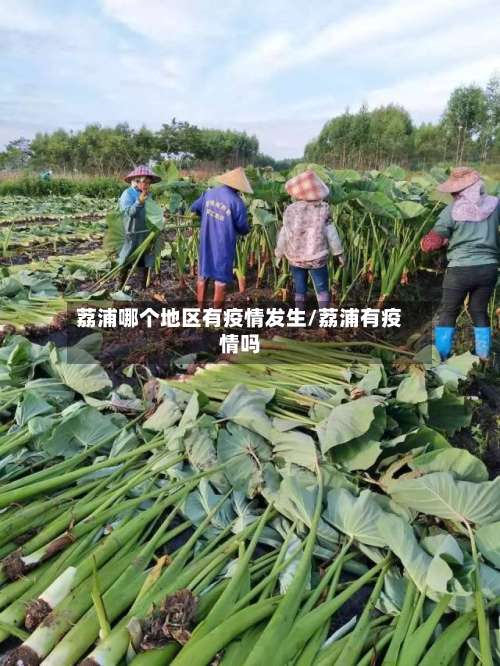 荔浦哪个地区有疫情发生/荔浦有疫情吗-第2张图片