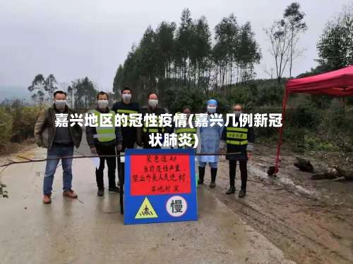 嘉兴地区的冠性疫情(嘉兴几例新冠状肺炎)-第2张图片