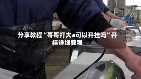 分享教程“哥哥打大a可以开挂吗”开挂详细教程-第1张图片