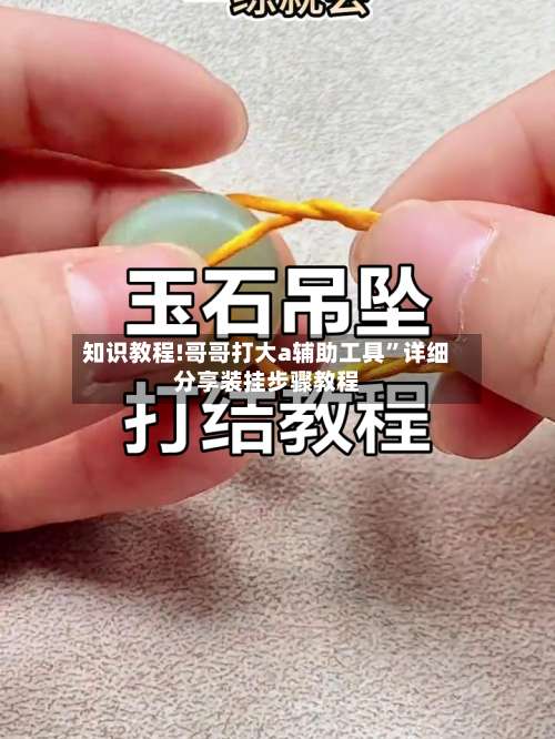 知识教程!哥哥打大a辅助工具”详细分享装挂步骤教程-第1张图片