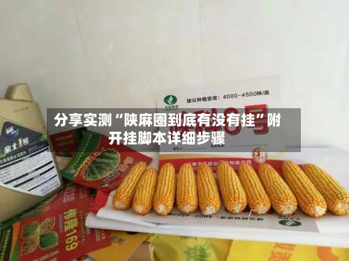 分享实测“陕麻圈到底有没有挂”附开挂脚本详细步骤-第1张图片