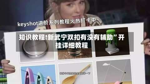 知识教程!新武宁双扣有没有辅助”开挂详细教程-第2张图片