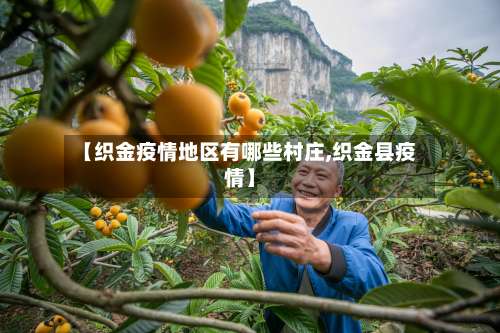 【织金疫情地区有哪些村庄,织金县疫情】-第1张图片