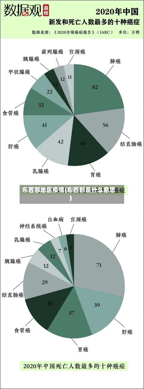 东西部地区疫情(东西部是什么意思)-第1张图片