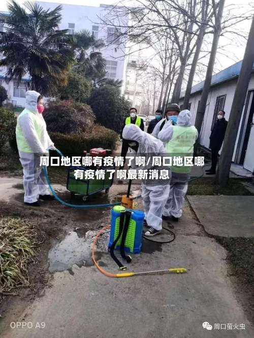 周口地区哪有疫情了啊/周口地区哪有疫情了啊最新消息-第2张图片