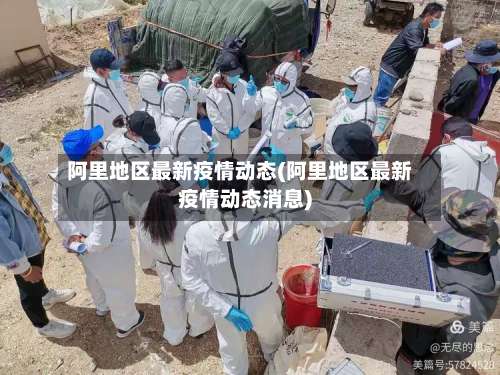 阿里地区最新疫情动态(阿里地区最新疫情动态消息)-第2张图片