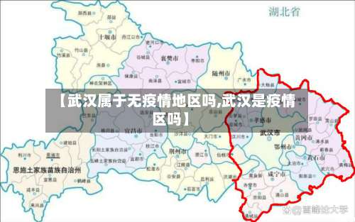 【武汉属于无疫情地区吗,武汉是疫情区吗】-第1张图片