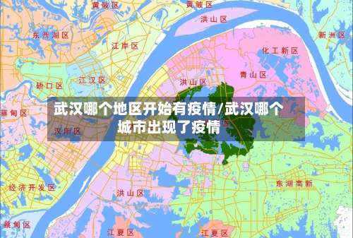 武汉哪个地区开始有疫情/武汉哪个城市出现了疫情-第1张图片