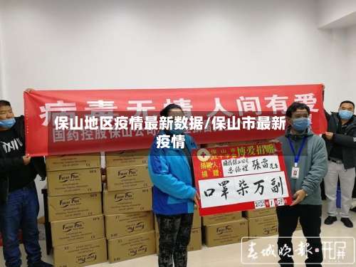 保山地区疫情最新数据/保山市最新疫情-第2张图片