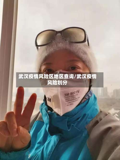 武汉疫情风险区地区查询/武汉疫情风险划分-第1张图片