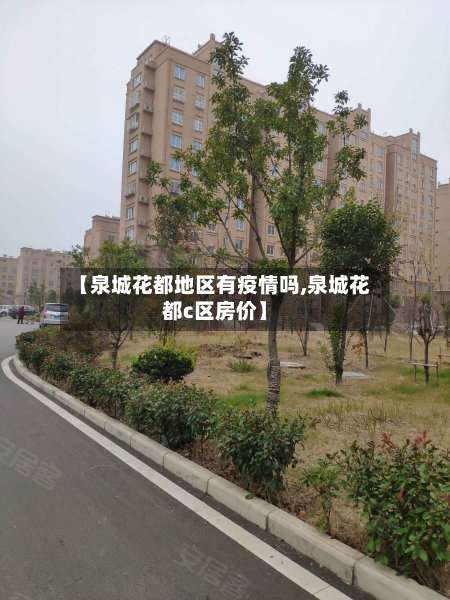 【泉城花都地区有疫情吗,泉城花都c区房价】-第1张图片
