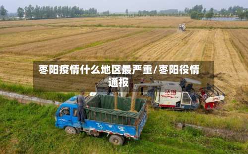 枣阳疫情什么地区最严重/枣阳役情通报-第1张图片