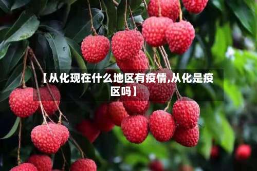 【从化现在什么地区有疫情,从化是疫区吗】-第1张图片