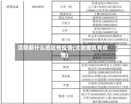 沈阳都什么地区有疫情(沈阳哪区有疫情)-第1张图片