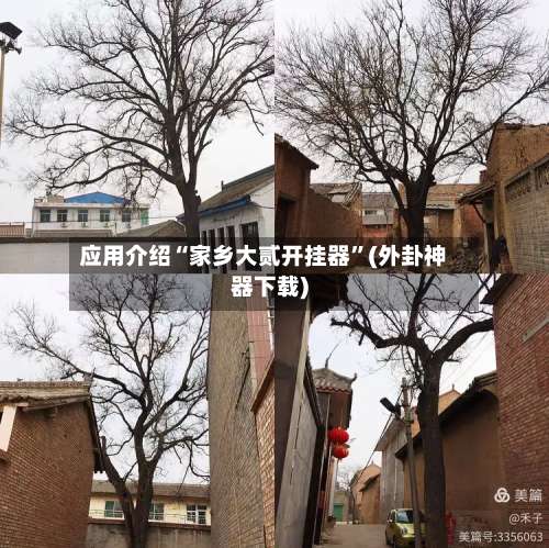 应用介绍“家乡大贰开挂器”(外卦神器下载)-第2张图片