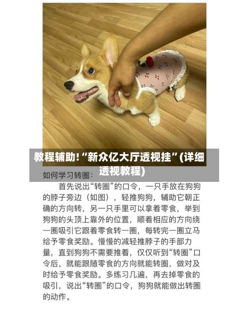 教程辅助!“新众亿大厅透视挂	”(详细透视教程)-第2张图片