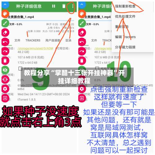 教程分享“掌酷十三张开挂神器	”开挂详细教程-第1张图片