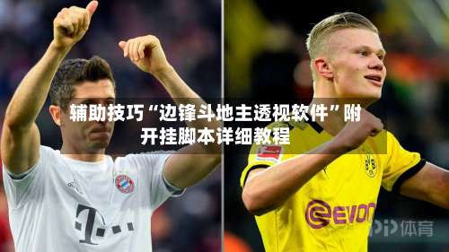 辅助技巧“边锋斗地主透视软件”附开挂脚本详细教程-第1张图片