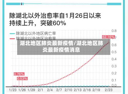 湖北地区肺炎最新疫情/湖北地区肺炎最新疫情消息-第2张图片