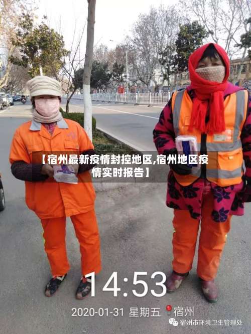 【宿州最新疫情封控地区,宿州地区疫情实时报告】-第2张图片