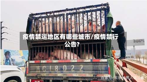 疫情禁运地区有哪些城市/疫情禁行公告?-第2张图片